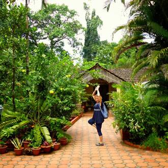 Palm Grove Cottages, Goa 1